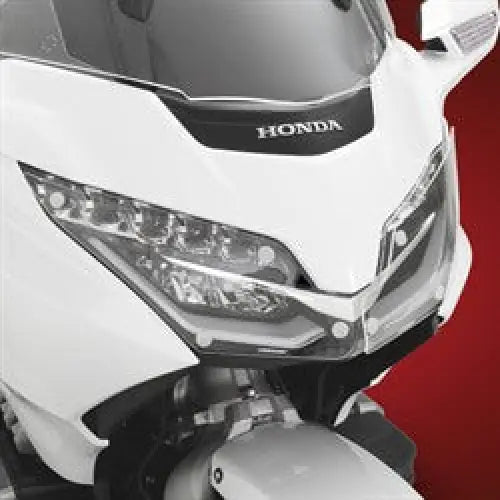 2018 GL1800 Headlight Protector