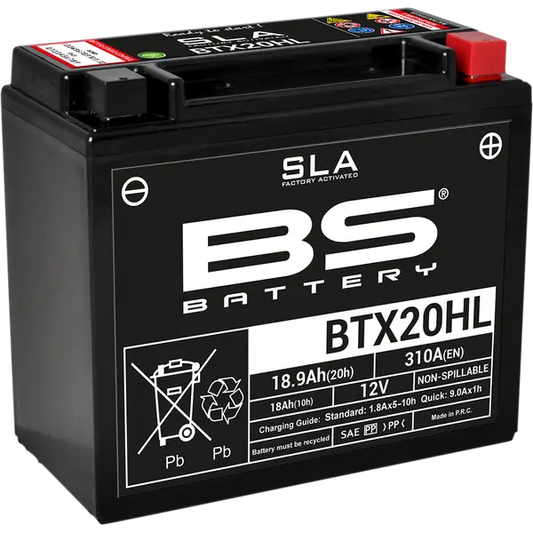 Goldwing BS Battery